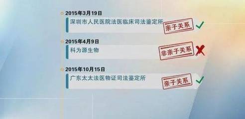 DNA亲子鉴定与法医司法鉴定 科学证据的权威解读