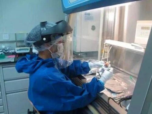 DNA见证者 邓亚军与亲子鉴定背后的真相