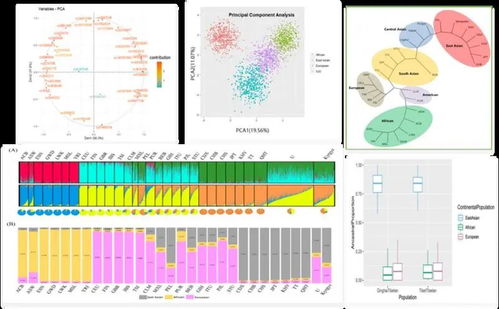 走近司法鉴定 高精技术如何助力案件侦破与司法公正